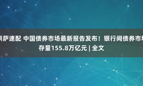 洪萨速配 中国债券市场最新报告发布！银行间债券市场存量155.8万亿元 | 全文