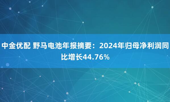中金优配 野马电池年报摘要：2024年归母净利润同比增长44.76%