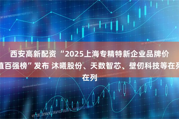 西安高新配资 “2025上海专精特新企业品牌价值百强榜”发布 沐曦股份、天数智芯、壁仞科技等在列