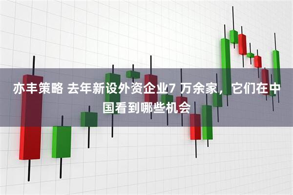 亦丰策略 去年新设外资企业7 万余家，它们在中国看到哪些机会